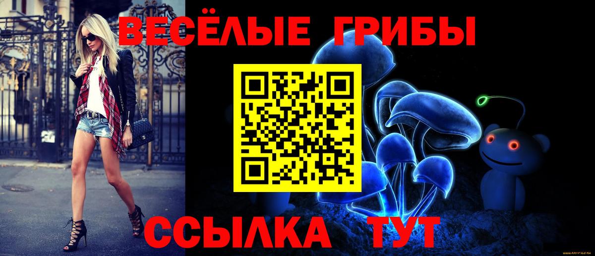 Галлюциногенные грибы прущие грибы  Вход с VPN  Сосновоборск 